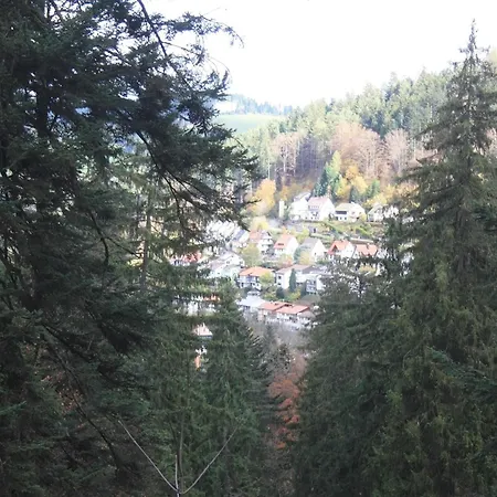 Relaxapartments Black Forest Diamond Direkt An Der Hornberger Freilichtbuehne - Sonnenterrasse Mit Blick Auf Hornberger Schloss, Schnelles Internet, Fuer Bis Zu 2 Personen Hornberg