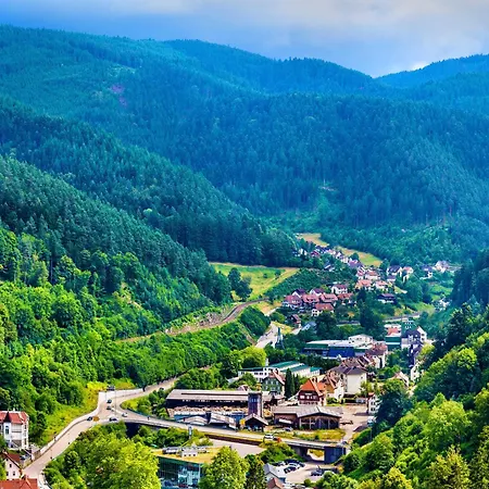 Relaxapartments Black Forest Diamond Direkt An Der Hornberger Freilichtbuehne - Sonnenterrasse Mit Blick Auf Hornberger Schloss, Schnelles Internet, Fuer Bis Zu 2 Personen דירה *