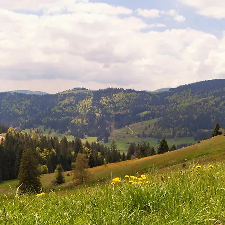 Relaxapartments Black Forest Diamond Direkt An Der Hornberger Freilichtbuehne - Sonnenterrasse Mit Blick Auf Hornberger Schloss, Schnelles Internet, Fuer Bis Zu 2 Personen *